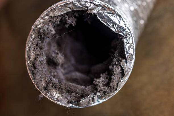 Best Home Air Vent Cleaning  in Jewett City, CT